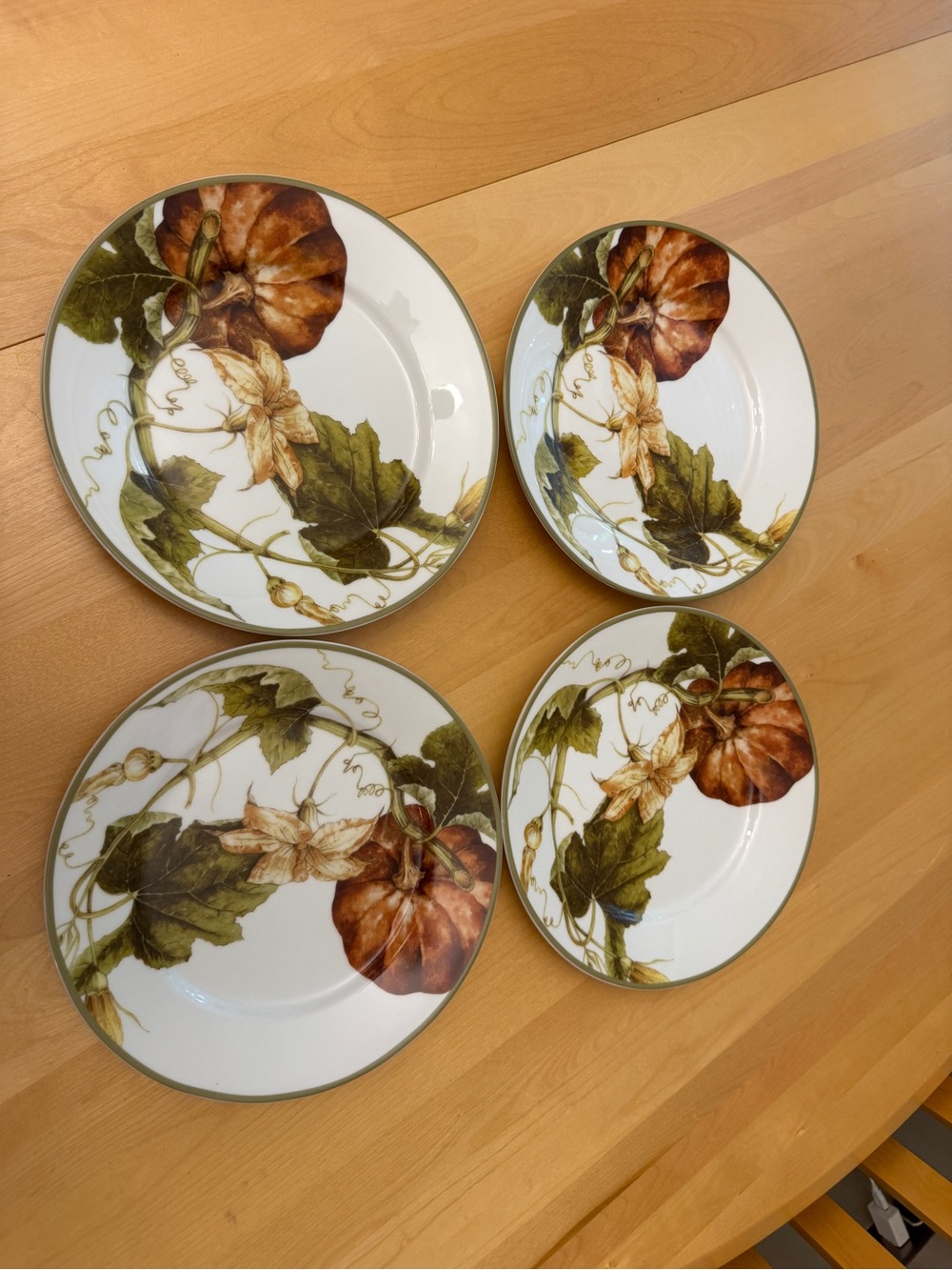 Williams Sonoma Botanical Pumpkin Dinner Plate 4pc